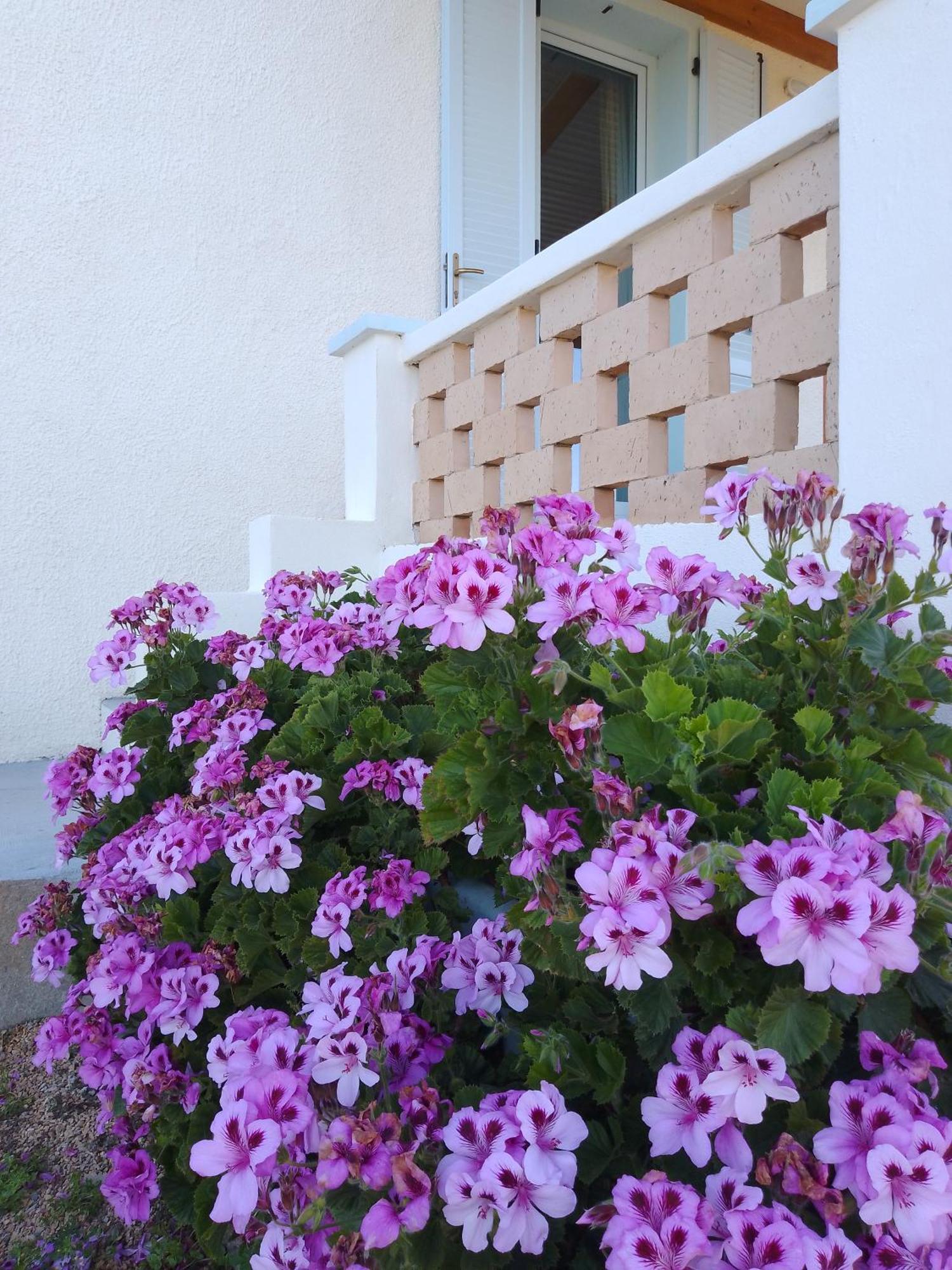 Lispusada Agriturismo Adults Only Biancareddu Exterior photo